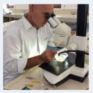 SCARI' GIORGIO ULISSE SALVATORE